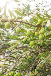 Similar image 21382361