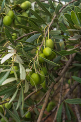 Similar image 21382362