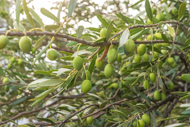 Similar image 21382371