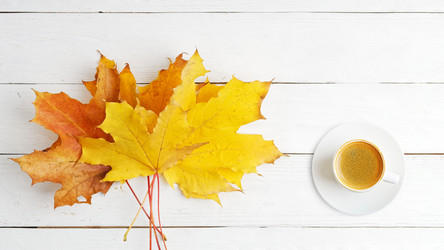 Similar image 21402032