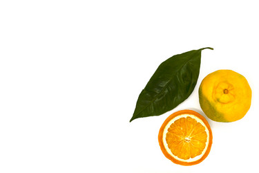 Similar image 21387017