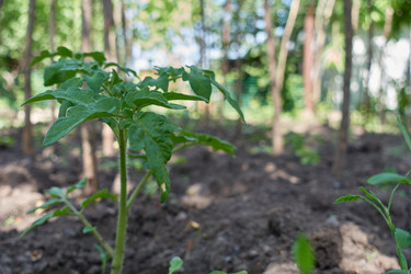 Similar image 21382474