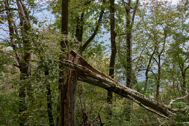 Similar image 21382478