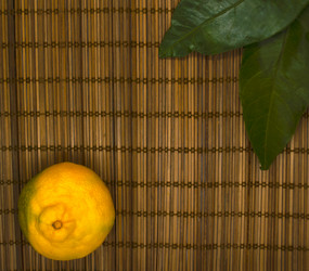 Similar image 21387024