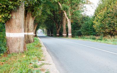 Similar image 21403534