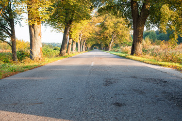 Similar image 21403536