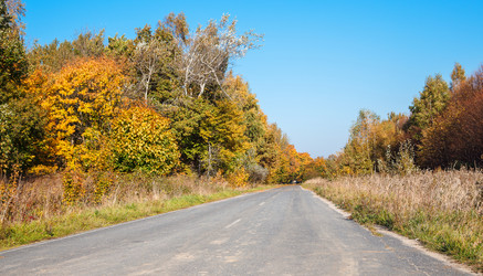 Similar image 21403537