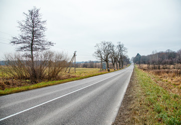 Similar image 21403539