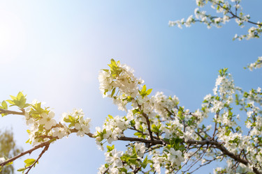 Similar image 21426226