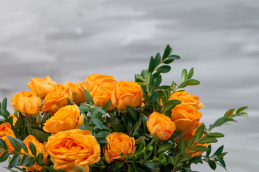 Similar image 21382957