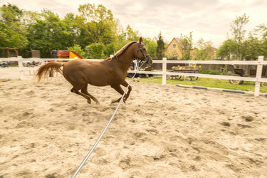 Similar image 21427645