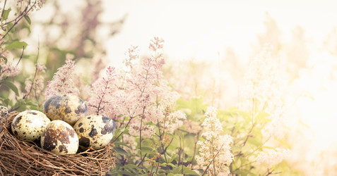 Similar image 21384530