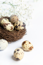 Similar image 21384533