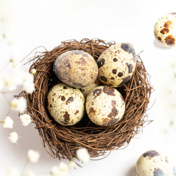 Similar image 21384536