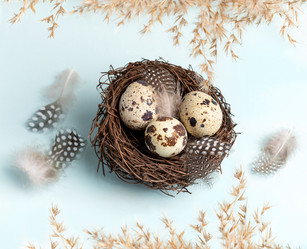 Similar image 21384539