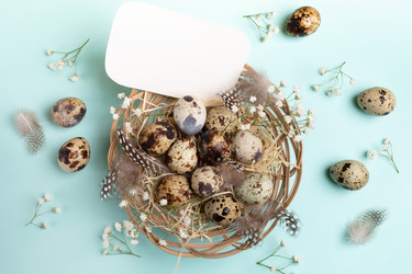 Similar image 21384544