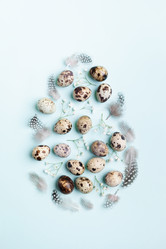 Similar image 21384549