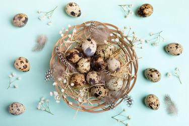 Similar image 21384550