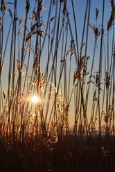 Similar image 21427492