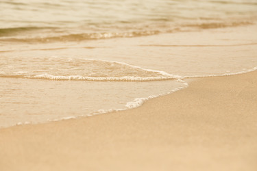 Similar image 21427496