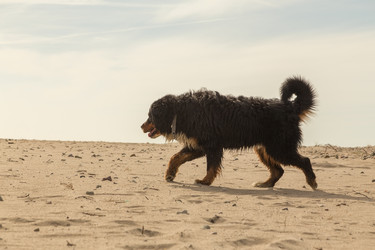 Similar image 21427507