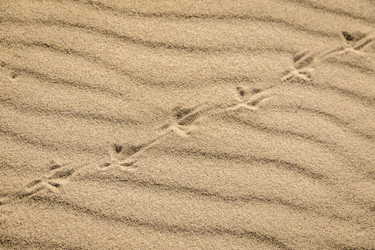 Similar image 21427660