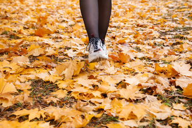 Similar image 21403544