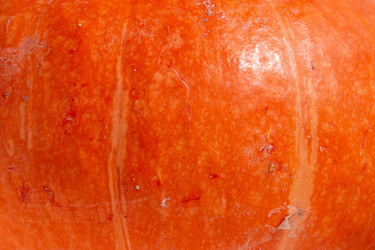 Similar image 21385430