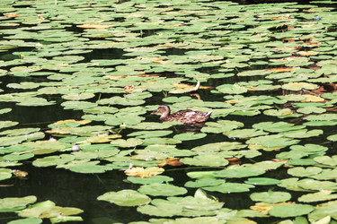 Similar image 21402719