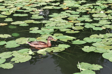 Similar image 21399593