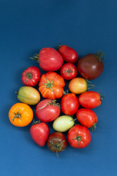 Similar image 21399898