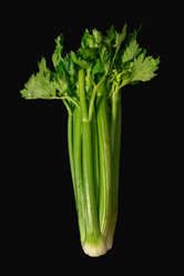 Similar image 21422188