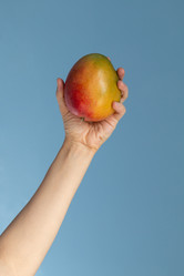 Similar image 21424765