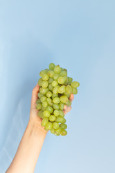 Similar image 21399599