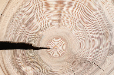 Similar image 21384564