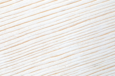 Similar image 21384565