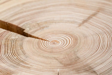 Similar image 21384567