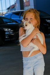 Similar image 21381985