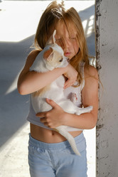 Similar image 21381986