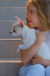 Similar image 21381988