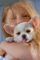 Similar image 21381989