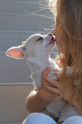 Similar image 21381990