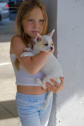 Similar image 21381991