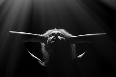 Similar image 21427517