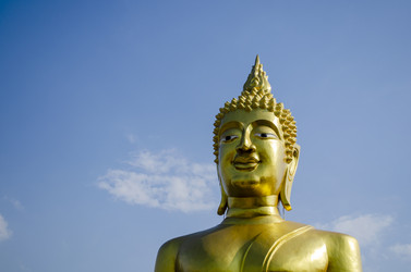 Similar image 21384845