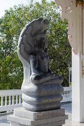 Similar image 21384849