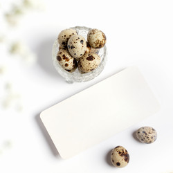 Similar image 21384594