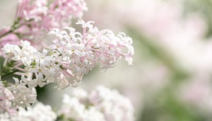 Similar image 21384605