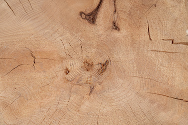 Similar image 21384855