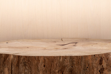 Similar image 21384857